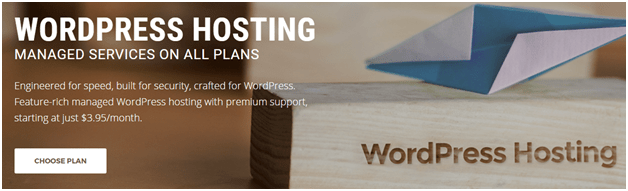 wordpress hosting