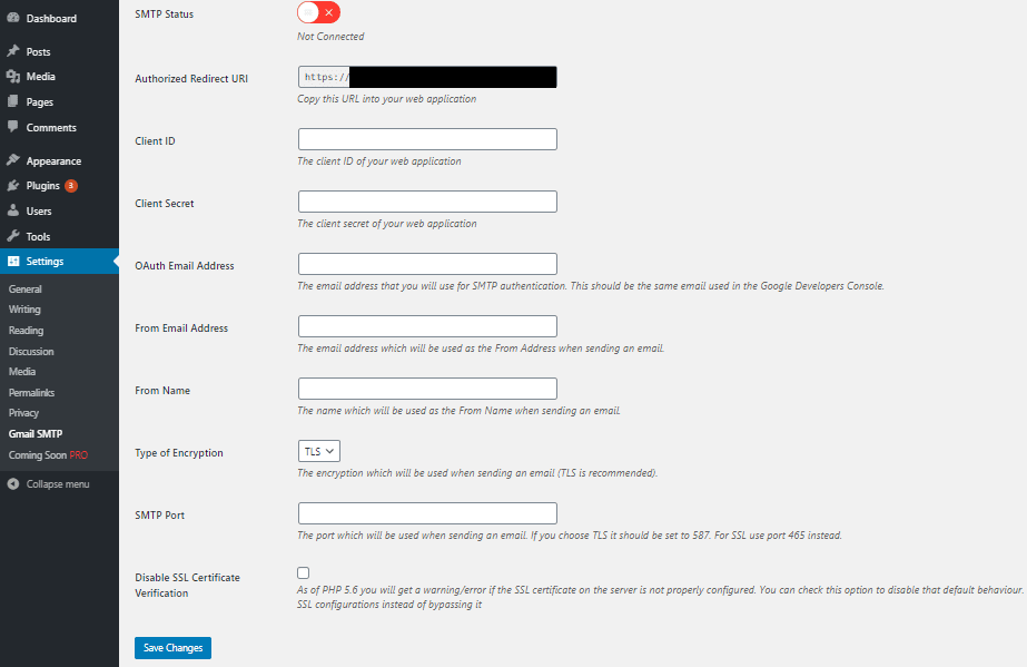 Gmail SMTP plugin input fields