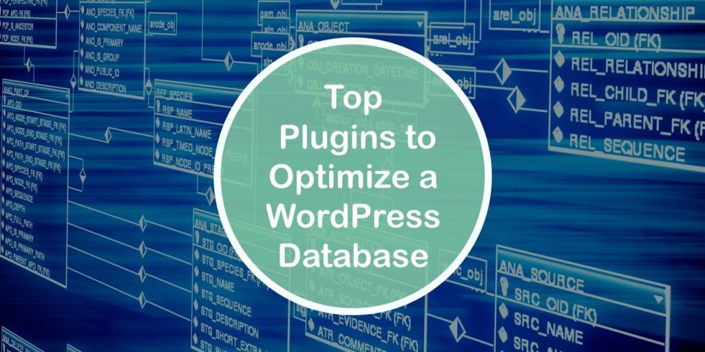 Top 10 Plugins to Optimize a Wordpress Database
