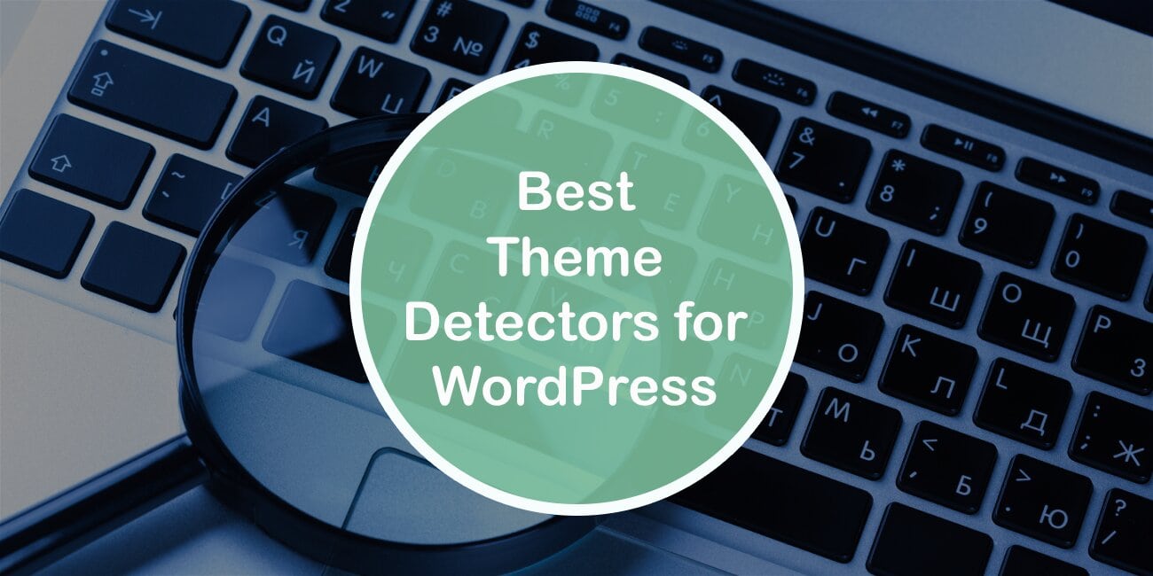 Best Theme Detectors for WordPress