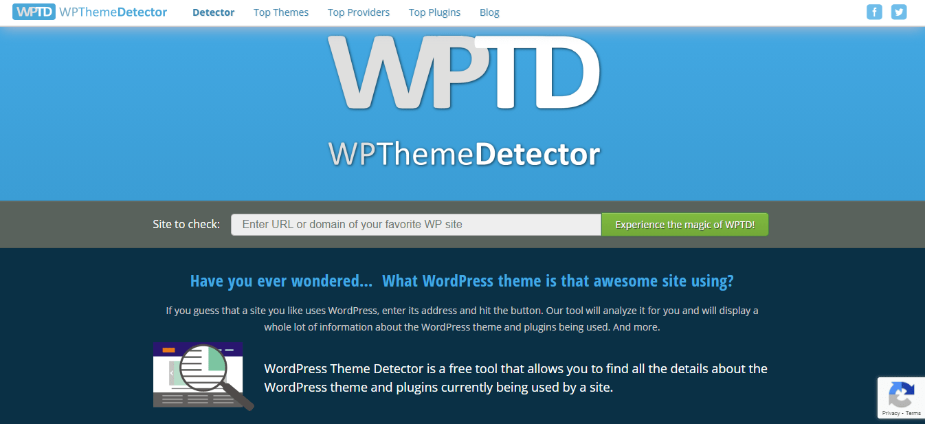 WordPress Theme Detector