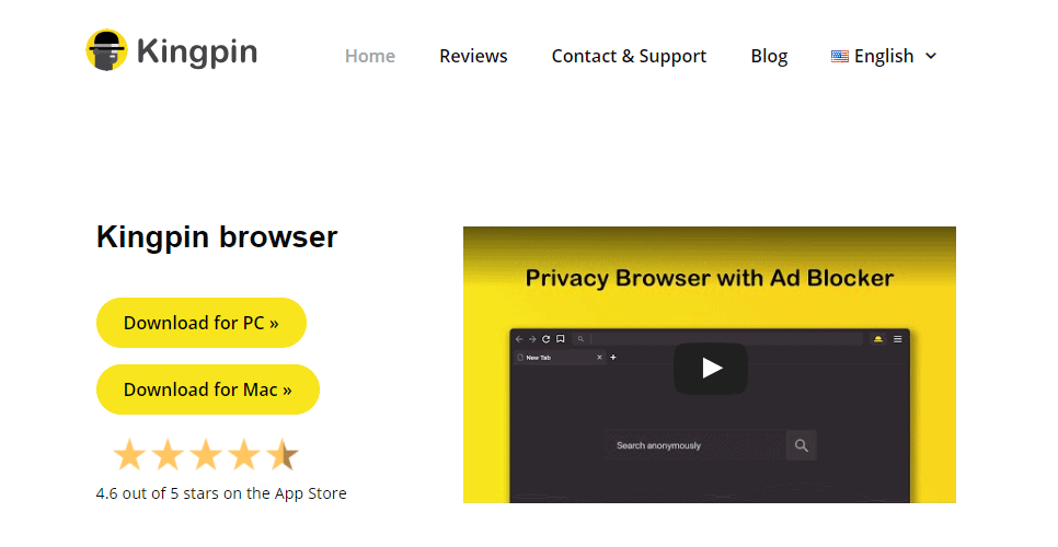 Kingpin Private Browser