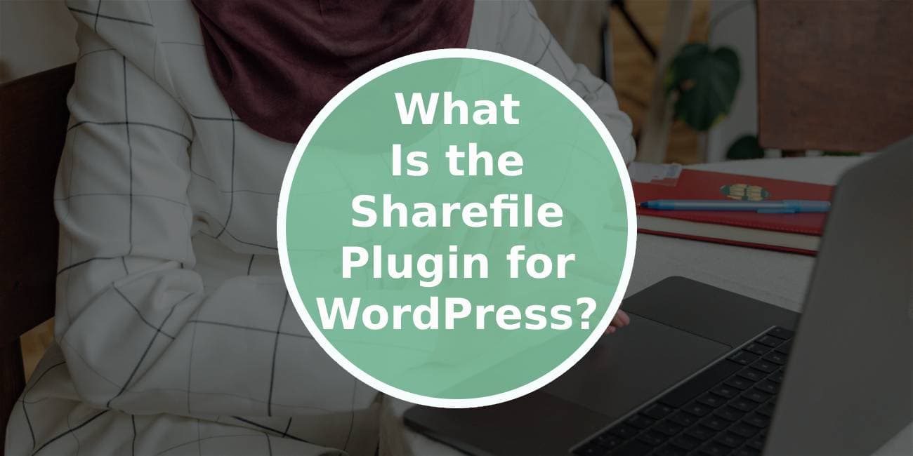 What Is the Sharefile Plugin for WordPress