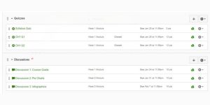 Step to Assign Groups in Canvas for Homework
