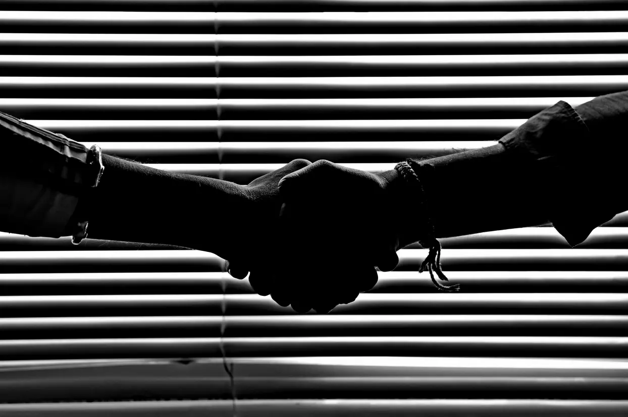 Designing Trust-Building Elements for High-Stakes Online Platforms