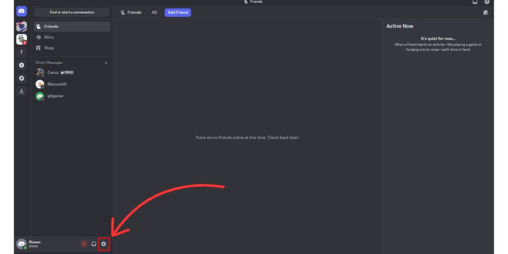 Go to User Discord Settings