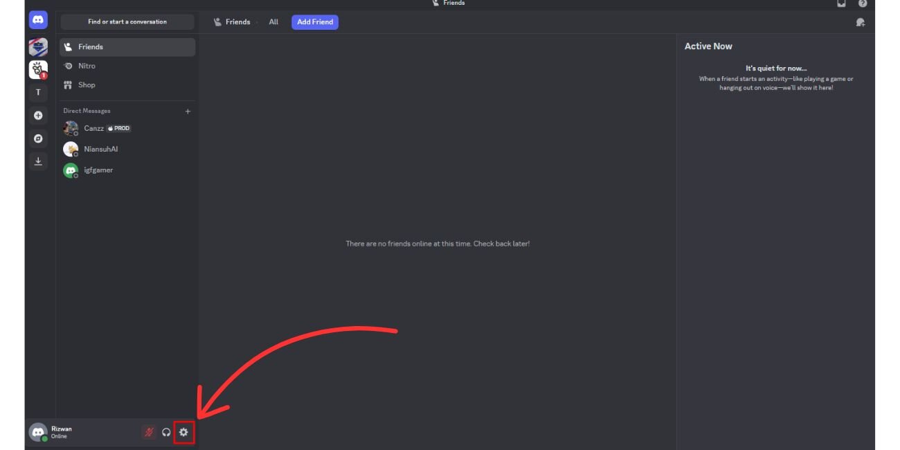 Go to User Discord Settings
