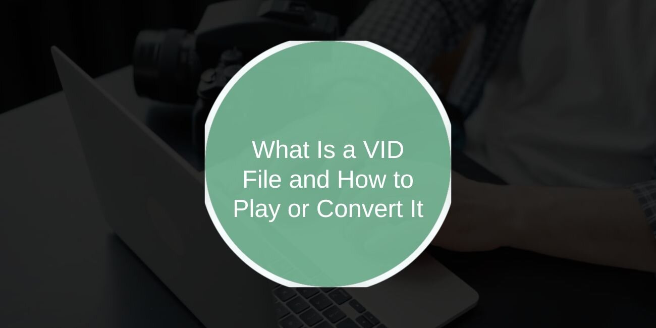 What Is a VID File and How to Play or Convert It