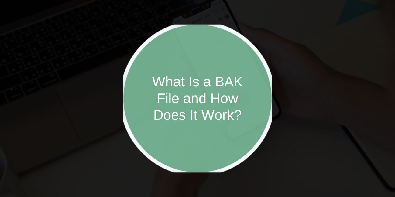 What Is a BAK File and How Does It Work?